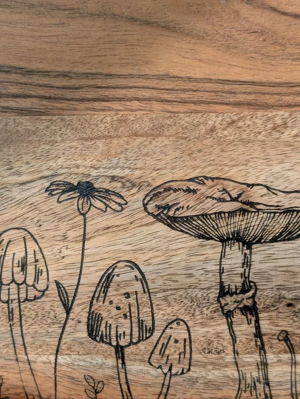 Mini Mushroom Tray
